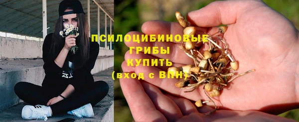 дурь Верея