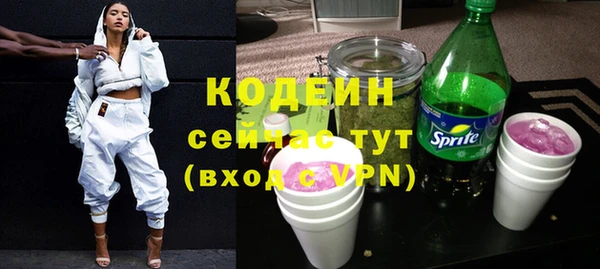 соль ск Бородино