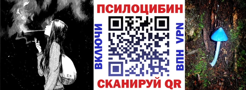 Галлюциногенные грибы Psilocybine cubensis Мончегорск